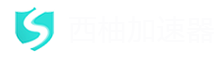 西柚加速器